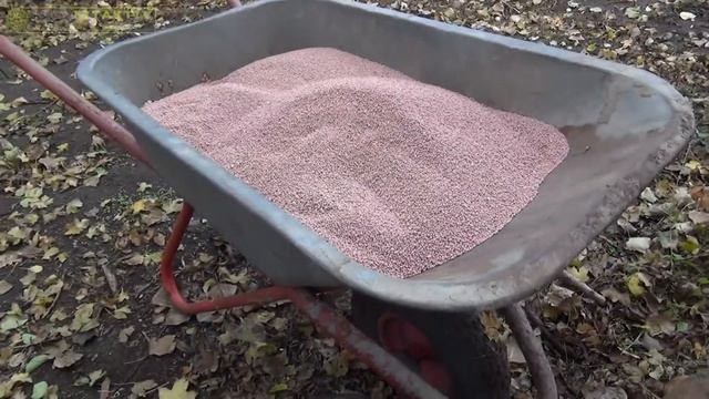 Нитроаммофоска для роз, под осеннюю вспашку.