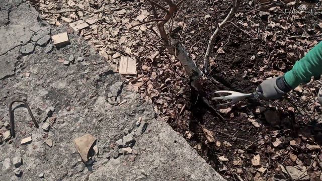 ОХОТА на ЯМАДОРИ (Урбандори). URBANDORI. смотреть онлайн