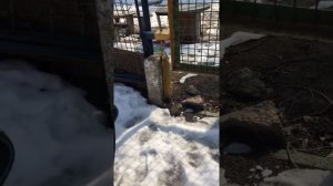 Ходим по грязи