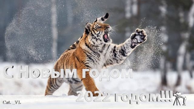 Поздравление С Новым годом 2022 годом!!!.mp4 смотреть онлайн