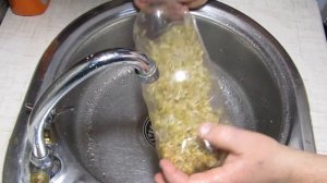 Как вырастить микрозелень на салат Огород в бутылке #салат #микрозелень #рассада #огород #бутылка