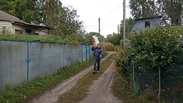 Наш РАБОЧИЙ день. Делаем Комбикорм для свиней. Откорм свиней. Свиноводство.