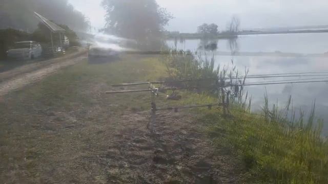 Марьянские пруды Карповая рыбалка 2017 смотреть онлайн