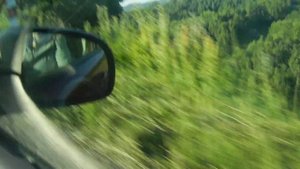 Природа Казахстана. г. Зыряновск
