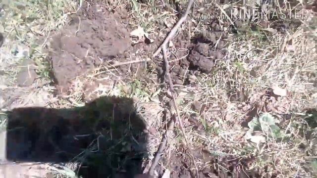 Коп с MD-6250(Ace250).Нашли рассыпуху!!! смотреть онлайн