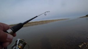 Ловля щуки на спиннинг  с берега в октябре