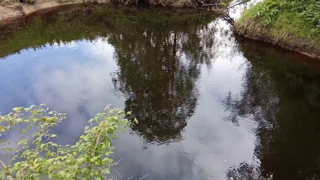 Самый крупный хариус Я поймал с удочкой до 28см😁 1 часть смотреть онлайн