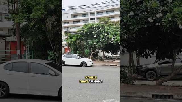 Спорт в Таиланде. Тренажёрный зал в Паттайе на карте плюс обзор.