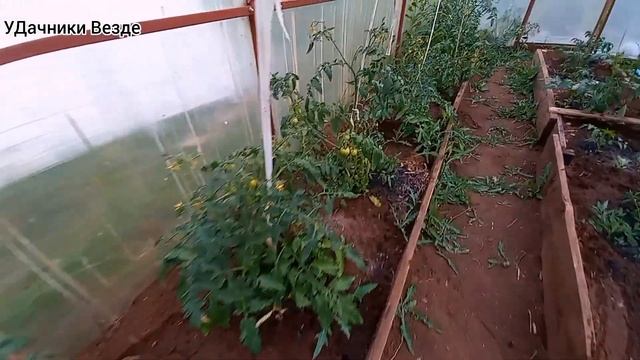 58#Нагло БРОСИЛИ ДАЧУ на несколько дней. ПЕРЦЫ посадили внутри ФУНДАМЕНТА. РАЗВЕДКА. УДАЧНИКИ ВЕЗДЕ смотреть онлайн