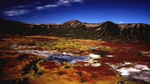 Заповедники России.