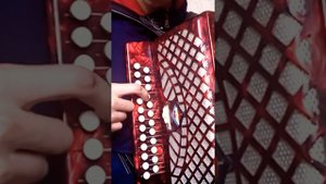 Разбо на гармони "Сельский кайф гр. Сектор Газа"