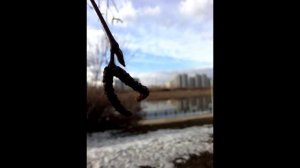 Сегодня мне трудно об этом писать.