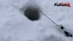 РАЗБУРИЛ СТАРЫЕ ЧУЖИЕ ЛУНКИ…Старое Кстово Старчиха