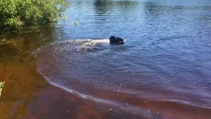 КАРПОВЫЙ КОРАБЛИК для завоза прикормки или снастей. Тест на воде. Часть 2