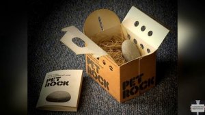 ОН ПРОДАВАЛ КАМНИ КАК ДОМАШНИХ ПИТОМЦЕВ - И ЗАРАБАТЫВАЛ МИЛЛИОНЫ!