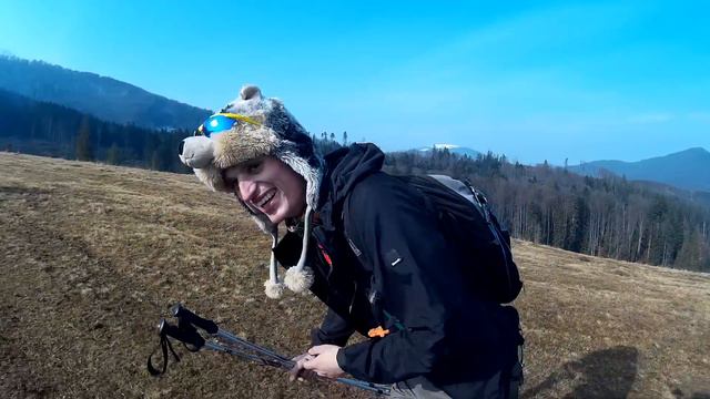 Как искать хаски!? // How to search husky!? смотреть онлайн