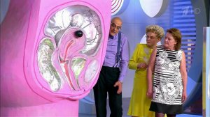 Симптомы рака, которые мы игнорируем. Жить здорово! Фрагмент выпуска от 26.08.2016