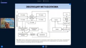 Михаил Никитин. Лекция 8. Эволюция обмена веществ