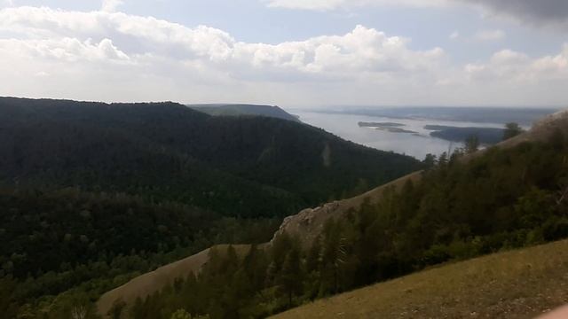 Чай долгожителя из Красной книги. Стрельная гора. Самарская Лука. ТревелБлог Апраксина Лада
