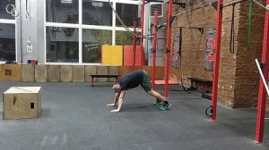 Собака мордой вниз + приветствие солнцу