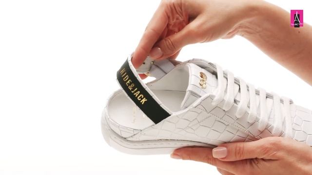 Видеообзор I Женские кеды HIDE&JACK 3060735 смотреть онлайн