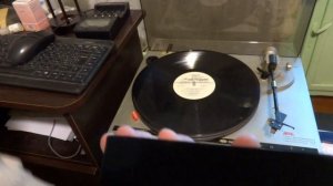 #001 — Щётка для чистки виниловых пластинок и кисточка для игл из Китая