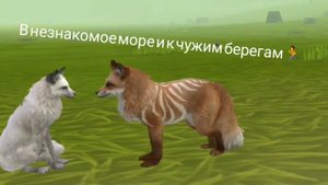•°клип вилд крафт°• ❌не мешай❌