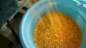 Мельница для кукурузы