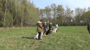 Догтренинг 604. Полевой урок с овчарками - малинуа, БШО, ВЕО.