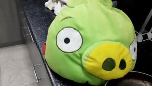 Angry Birds свиньи и яйца