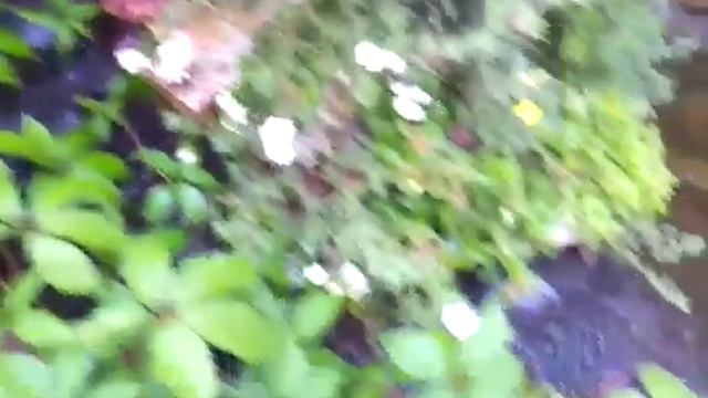 Водопад с альпийской горкой - Компания ГринАрт