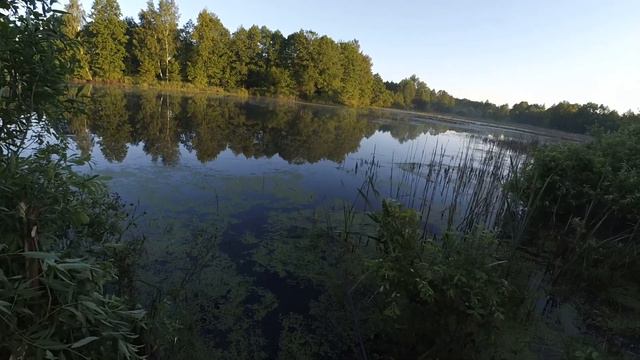 Выбрался на рыбалку на маховую удочку+фидер 26.06.2020 смотреть онлайн
