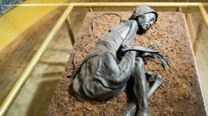 Тела из болот