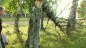 Геннадий Бекманов - Аргурезь