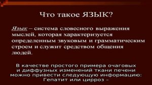 Что такое паренхима и ее влияние на работу печени