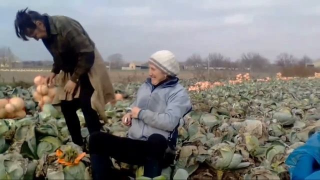 Log dog я подарю тебе небо танец робота. смотреть онлайн