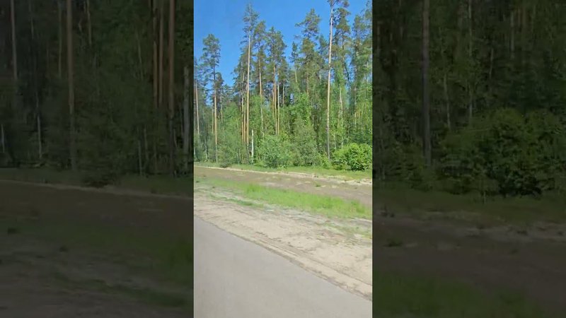 6 июня 2024 г.