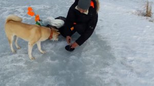 Установка жерлицы с глубиномером