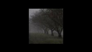 doomer songs/конец солнечных дней/playlist