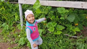 ОБЫЧНЫЙ СУББОТНИЙ ДЕНЬ В ДЕРЕВНЕ