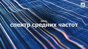 Полноразмерные беспроводные наушники Philips Fidelio L3