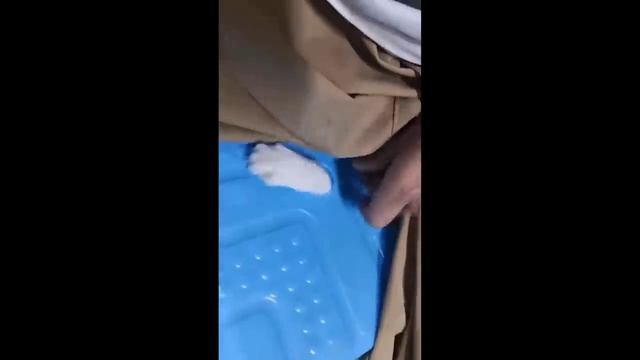 Funniest Cats And Dogs Videos ? - Best Funny Animal Videos 2024 ?
funnyanimals cuteanimals