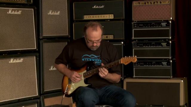 Fender Custom Shop Dealer Select Wildwood "10" 1961 Stratocaster Relic • SN: R61296 смотреть онлайн