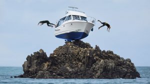 За Секунду до! Эти Случаи с Кораблями и Лодками Удалось Снять на Камеру