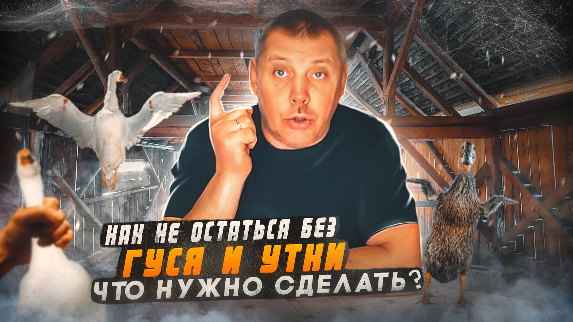 СЕЗОН 2023 открыт. "Мое Подворье"
