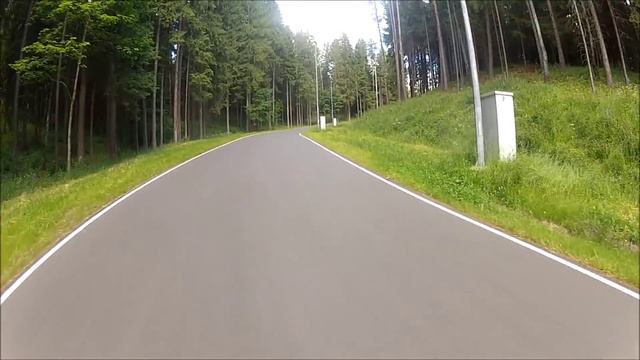 Лыжероллерная трасса в 