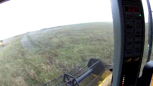 Уборка урожая вики. смотреть онлайн