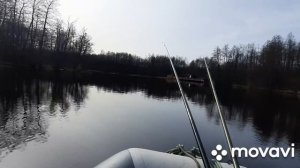 Рыбалка в Славском районе, Калининградской области.