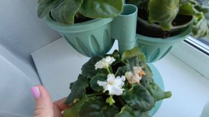 планы на день