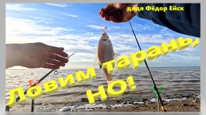 Ловим тарань в Ейском лимане. Есть одно НО!